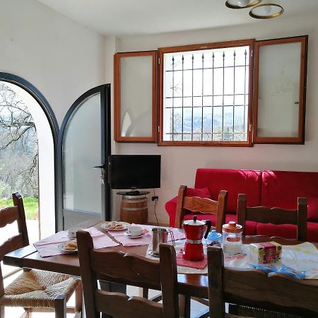 Casa Pancole Il Tinello Leilighet Cavriglia Eksteriør bilde